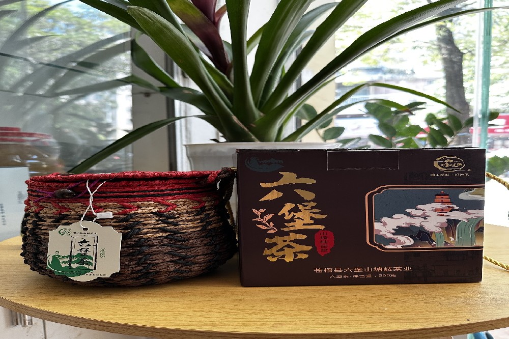 现代工艺六堡茶冷水渥堆:山塘岐的“控温秘钥”,解锁六堡茶的纯净陈香