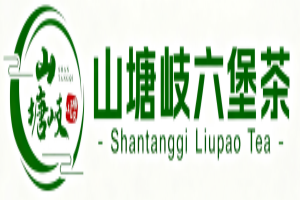 山塘岐品牌六堡茶侨销茶：一条“茶船古道”上的南洋乡愁味