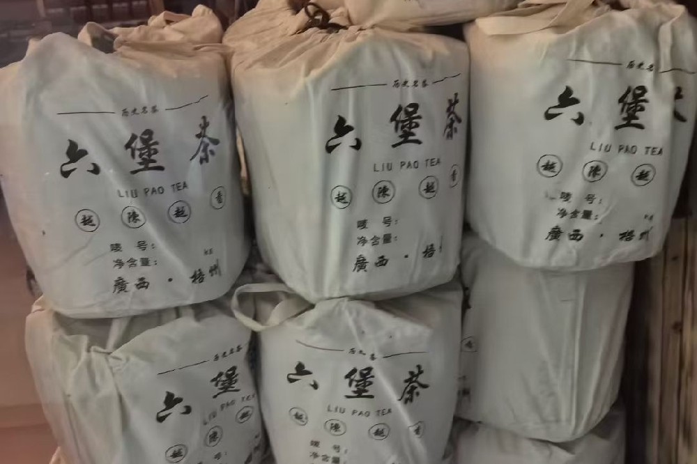 六堡茶茶多酚醒脑机制：深山茶韵里的“脑活力密码”