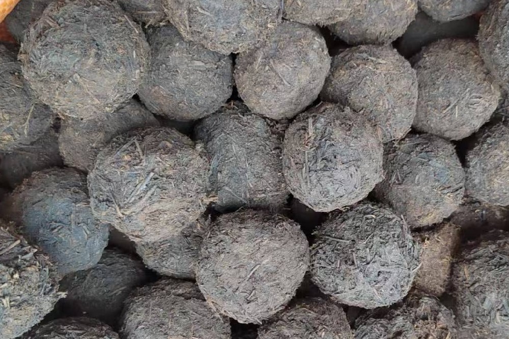 老年人六堡茶提神保健：温和养身不刺激，3 大核心益处 + 饮用指南