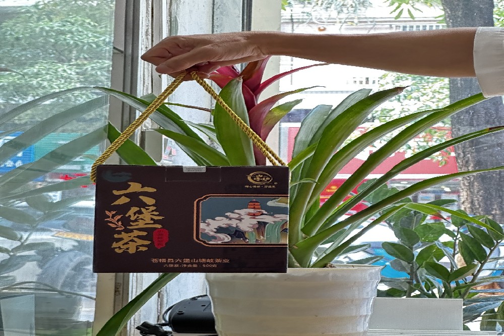 老年人六堡茶祛湿保健：一杯温润醇茶，守护晚年安康