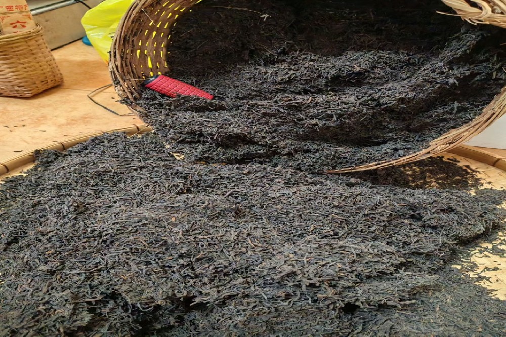 六堡茶消食解腻冲泡方法全攻略:饭后一杯,肠胃轻松