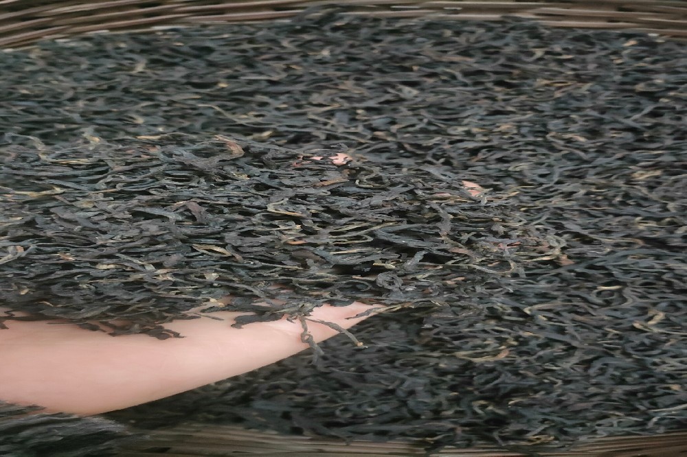 六堡茶与黑茶特征联系：深入解读“红浓陈醇”背后的黑茶密码——山塘岐的品质坚守