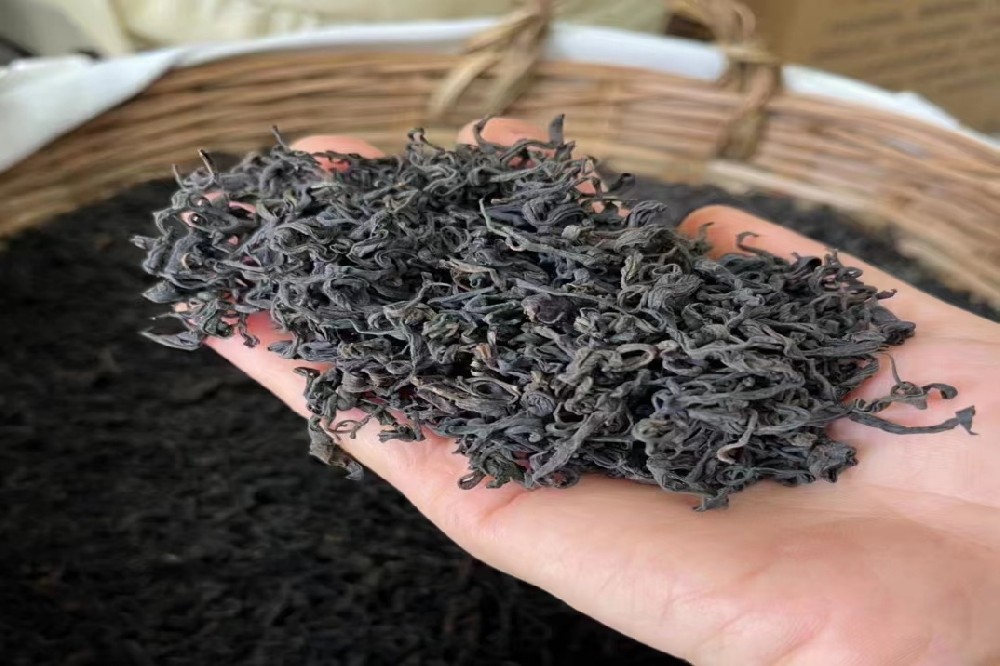 传统工艺里的六堡茶魂:从杀青到陈化,山塘岐守着老手艺做真味