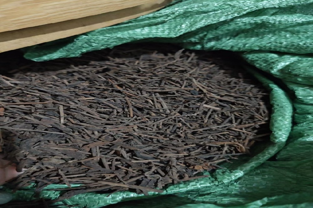 六堡茶护血管的机制解析：山塘岐如何以“温润之力”守护心脑血管健康