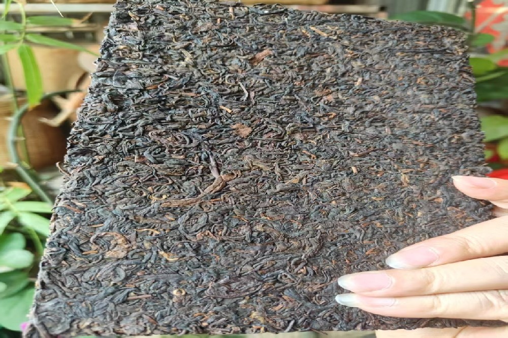 辐照陈化:六堡茶的现代科技赋能,山塘岐以传统匠心守护醇化真谛