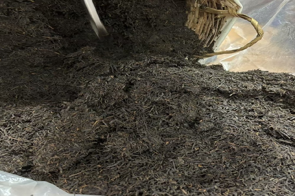 水路:探秘六堡茶的灵魂脉络,品味山塘岐的细腻茶韵