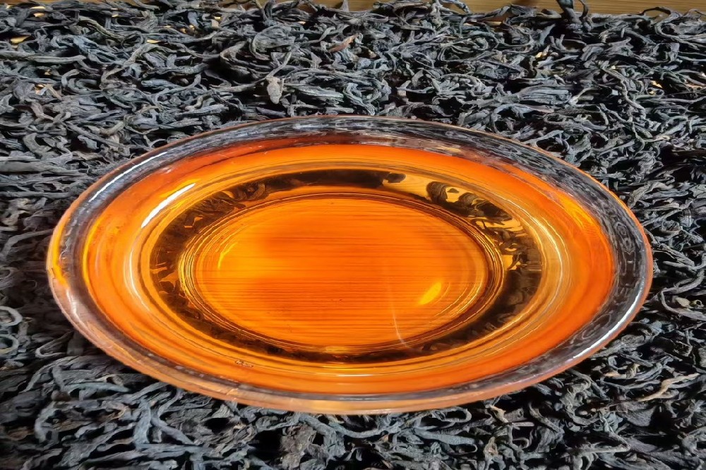 高山大叶种:山塘岐六堡茶的卓越基因与品质密码