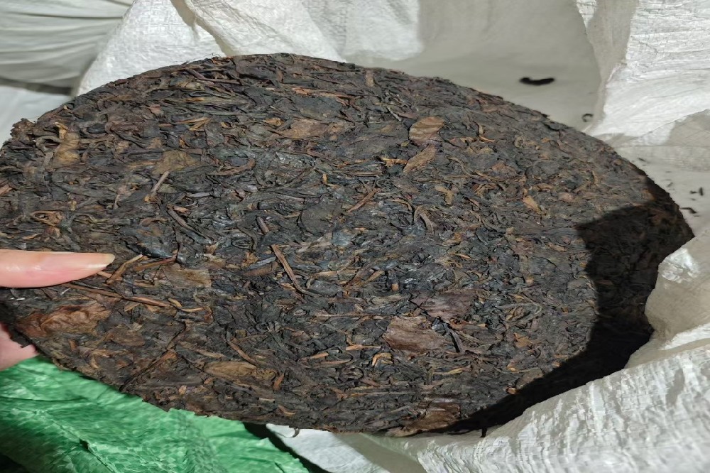 1500 多年前，一盏茶香自苍梧起：山塘岐六堡茶的千年源流