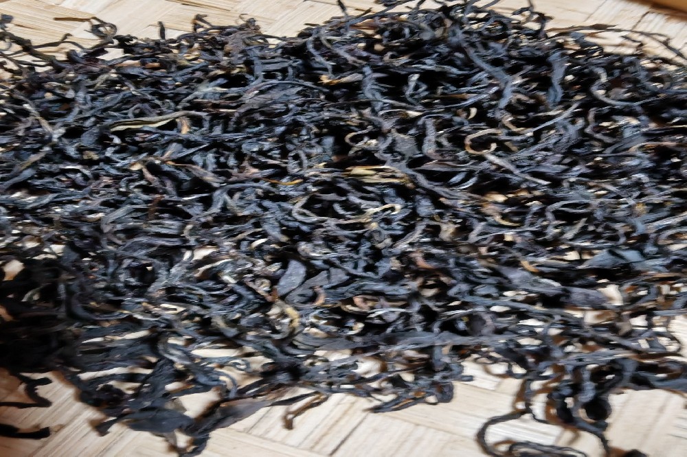 探秘南北朝茶文化:苍梧县六堡山塘岐茶业,源头直供的六堡茶珍品