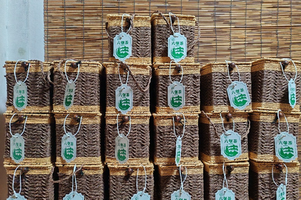探秘六堡镇核心产区:山塘岐品牌六堡茶,源头直供,品质之选