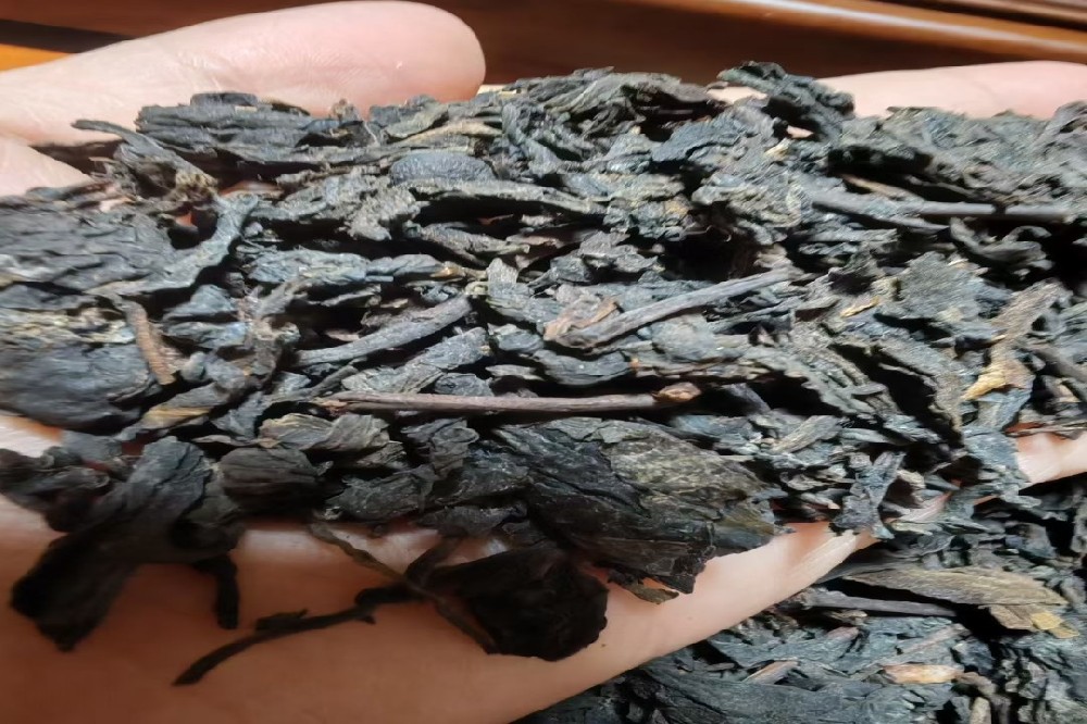 山塘岐六堡茶:传承地理标志荣耀,缔造醇香品质典范