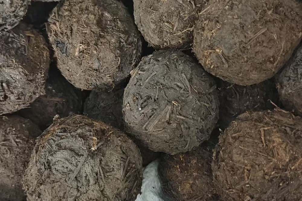 六堡沱茶:时光淬炼的茶中珍宝,品味山塘岐的匠心传承