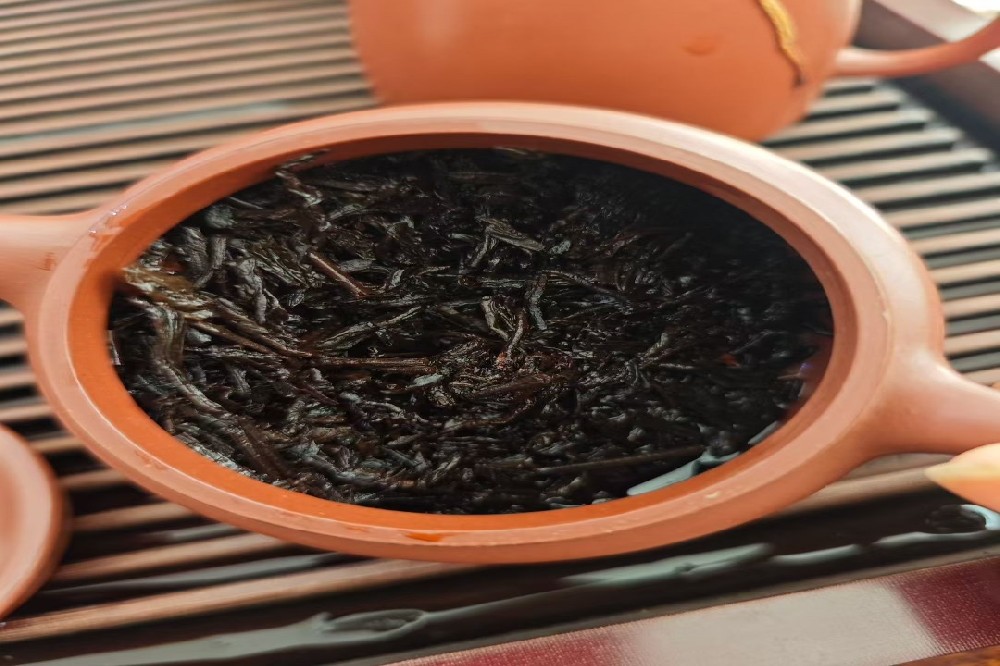 金花六堡茶不只是一杯茶!探秘“冠突散囊菌”带来的7大养生功效