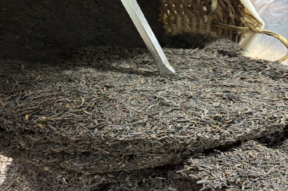 解锁“茶中黄金”的味觉密码:详解金花六堡茶的独特口感