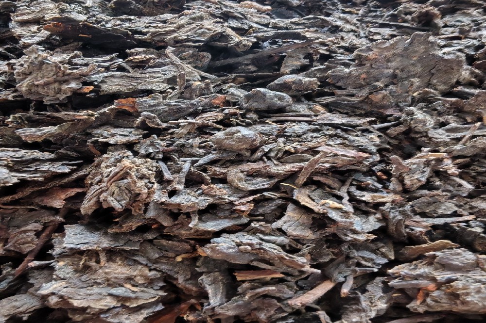 如何挑选金花六堡茶品牌?揭秘优质品牌的核心与山塘岐的制茶之道