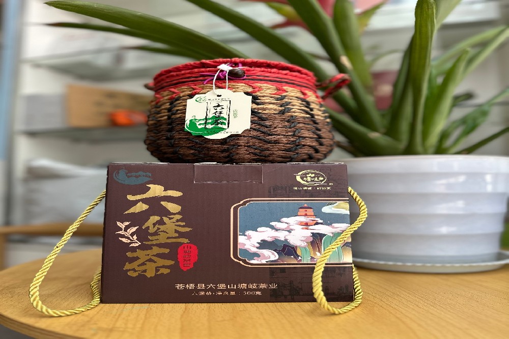 寻味六堡，源厂臻品 | 探秘苍梧核心，直供地道六堡茶