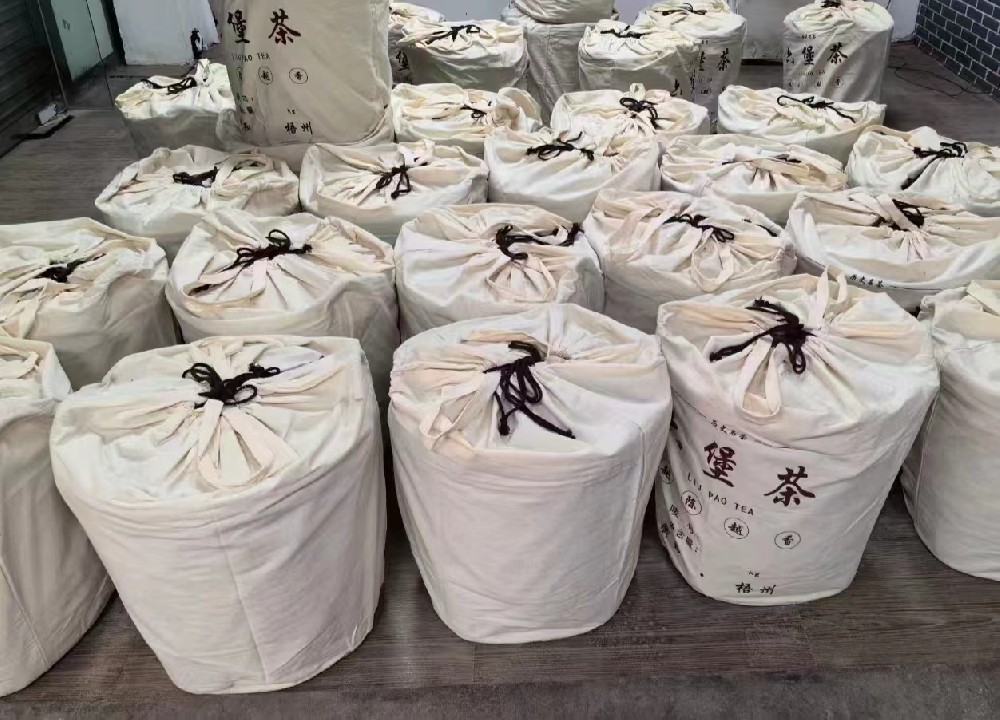 现代工艺六堡茶汽蒸焗堆制作:从非遗传承到匠心升级的苍梧茶事